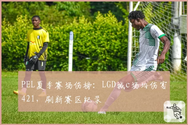 PEL夏季赛场伤榜：LGD诚c场均伤害421，刷新赛区纪录