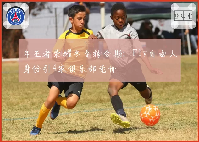 年王者荣耀冬季转会期：Fly自由人身份引4家俱乐部竞价