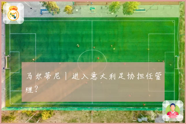 马尔蒂尼丨进入意大利足协担任管理？