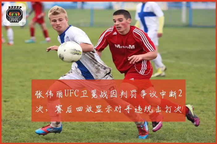 张伟丽UFC卫冕战因判罚争议中断2次，赛后回放显示对手违规击打次数达9次