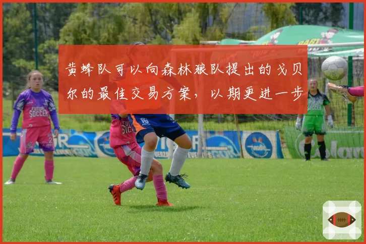 黄蜂队可以向森林狼队提出的戈贝尔的最佳交易方案，以期更进一步